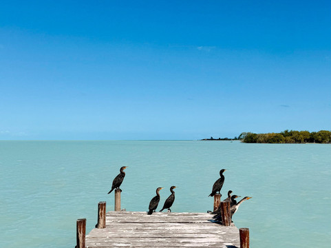 My Holbox Tours-Holbox必去景点
