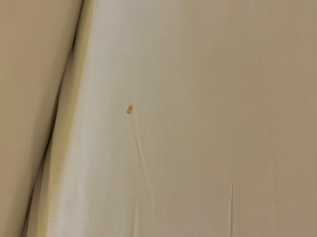 埃武拉酒店主图