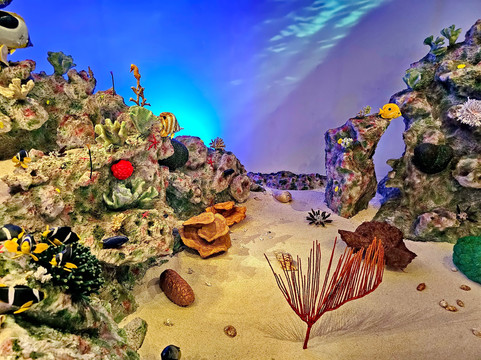 自然历史博物馆-赫尔辛基必去景点