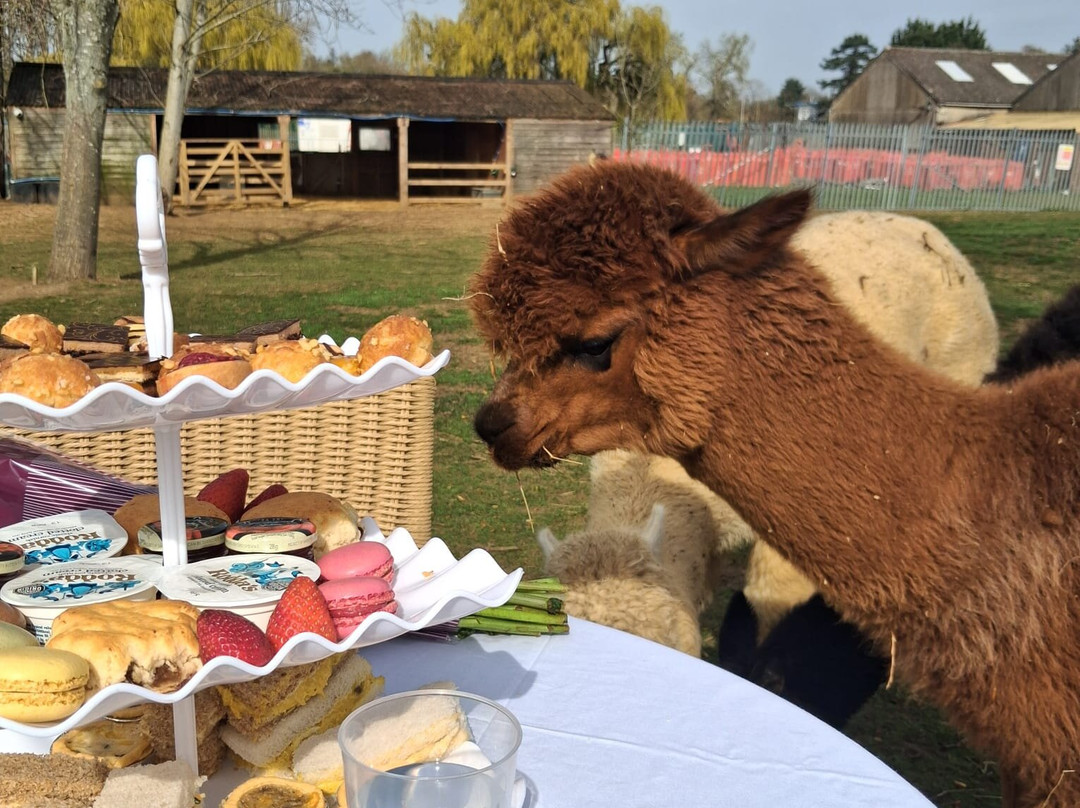 Billing Aquadrome-北安普敦必去景点