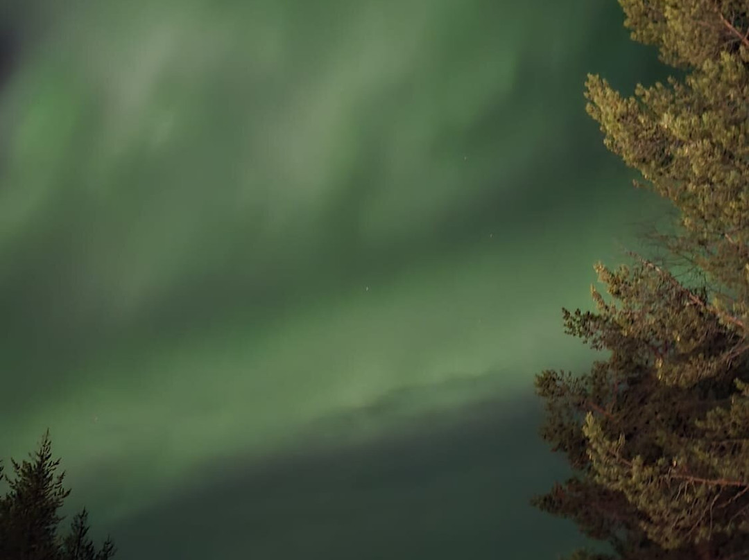 North Wind Lapland-Yllasjarvi必去景点