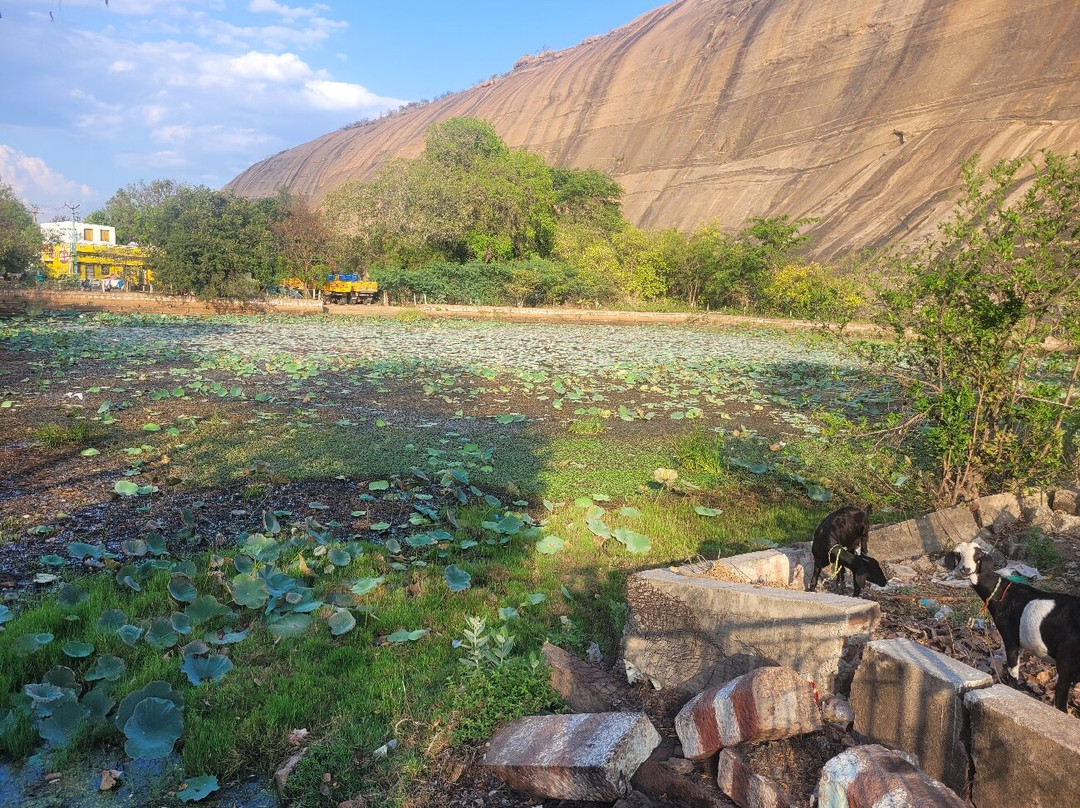 Yoga Narasimhar Temple-马杜赖必去景点
