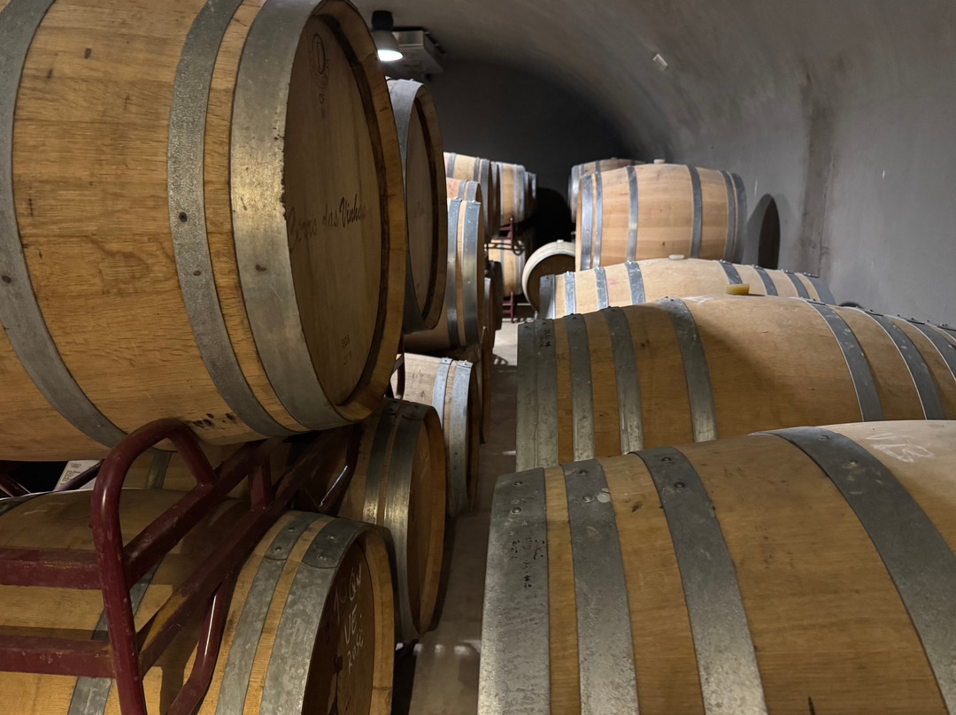 Cabrita Wines-Silves必去景点