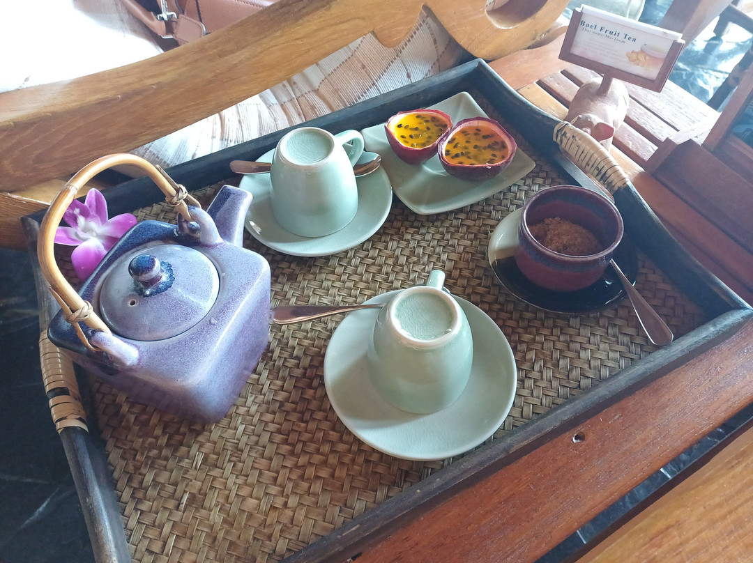 Ayurvana Spa-帕岸岛必去景点