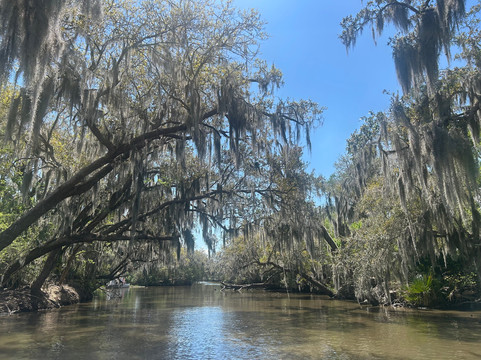 Louisiana Tour Company-Marrero必去景点