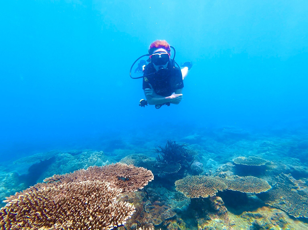 Sea Bees Diving Khao Lak - Day Tours-拉克山必去景点