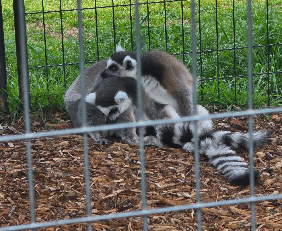 Georgia Untamed Zoo-Hogansville必去景点