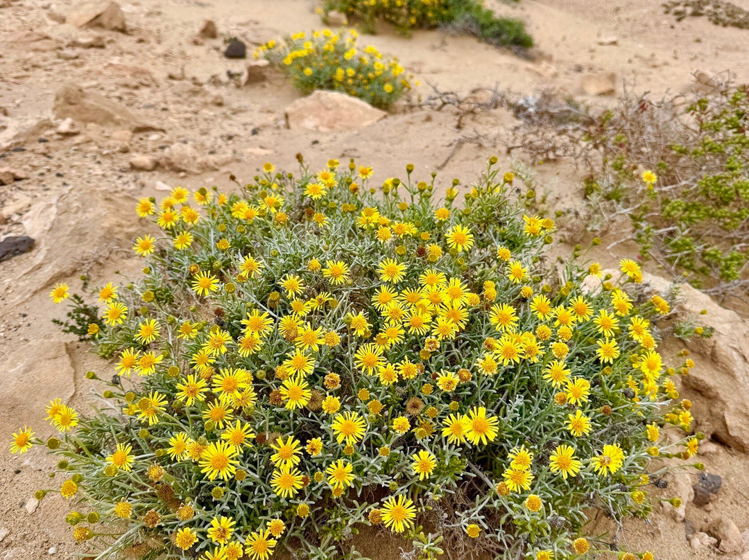 Playa De La Pared-La Pared必去景点