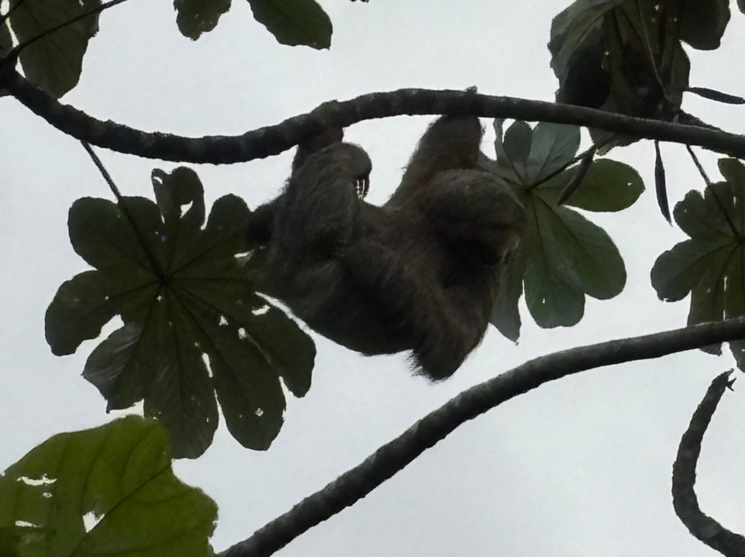 蒙特贝尔德浪漫小屋主图