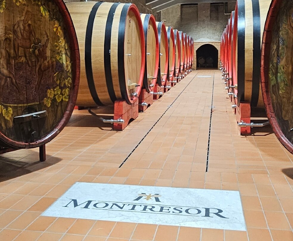 Cantine Giacomo Montresor-维罗纳必去景点