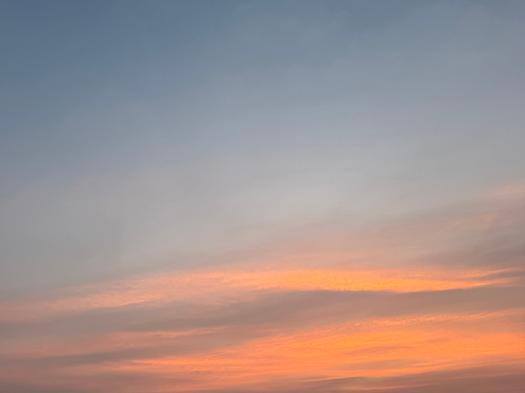Blue Wave Ifuru By Dive Butler At Ifuru Island Maldives-Ifuru必去景点