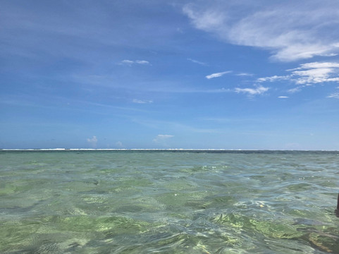 Ecotrax Fiji-辛加东卡必去景点