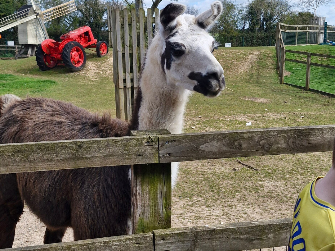 Finkley Down Farm-Andover必去景点
