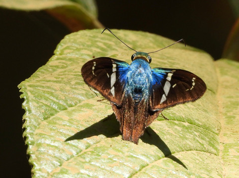 0S3 Private Tours-哈科必去景点