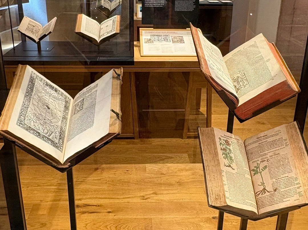 Bibliothèque Humaniste-塞勒斯塔必去景点