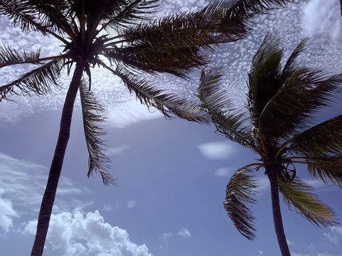 土龙沙滩-阿范特拉斯港必去景点