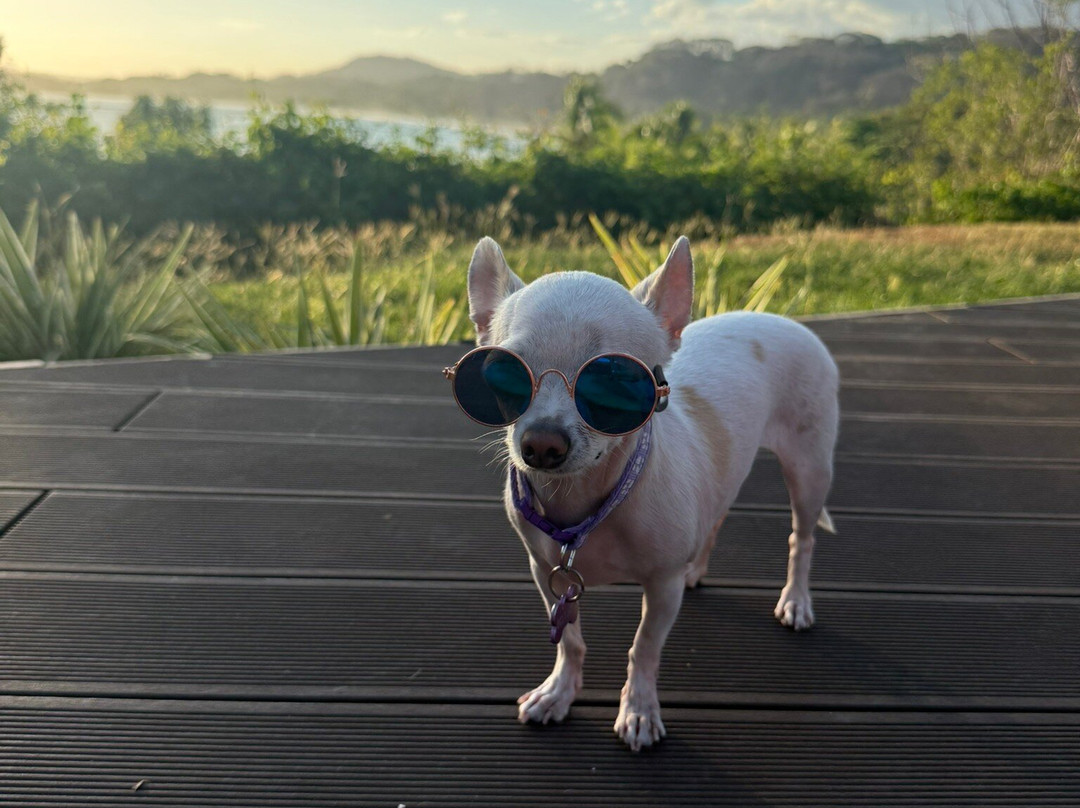 那普海滨平房主图