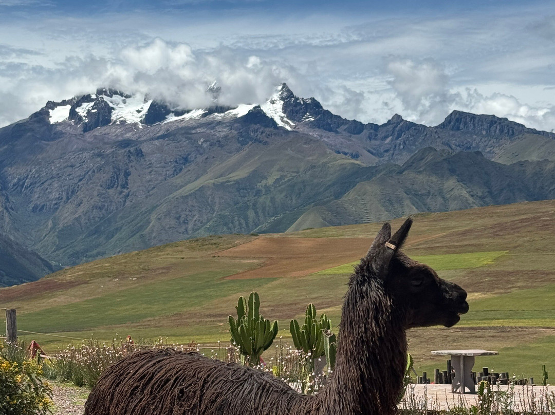 Mountain View Experiences-Maras必去景点