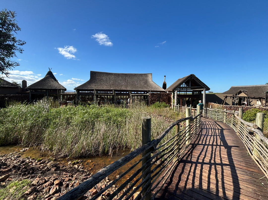 Garden Route Game Lodge Day Safaris-阿尔贝蒂娜必去景点