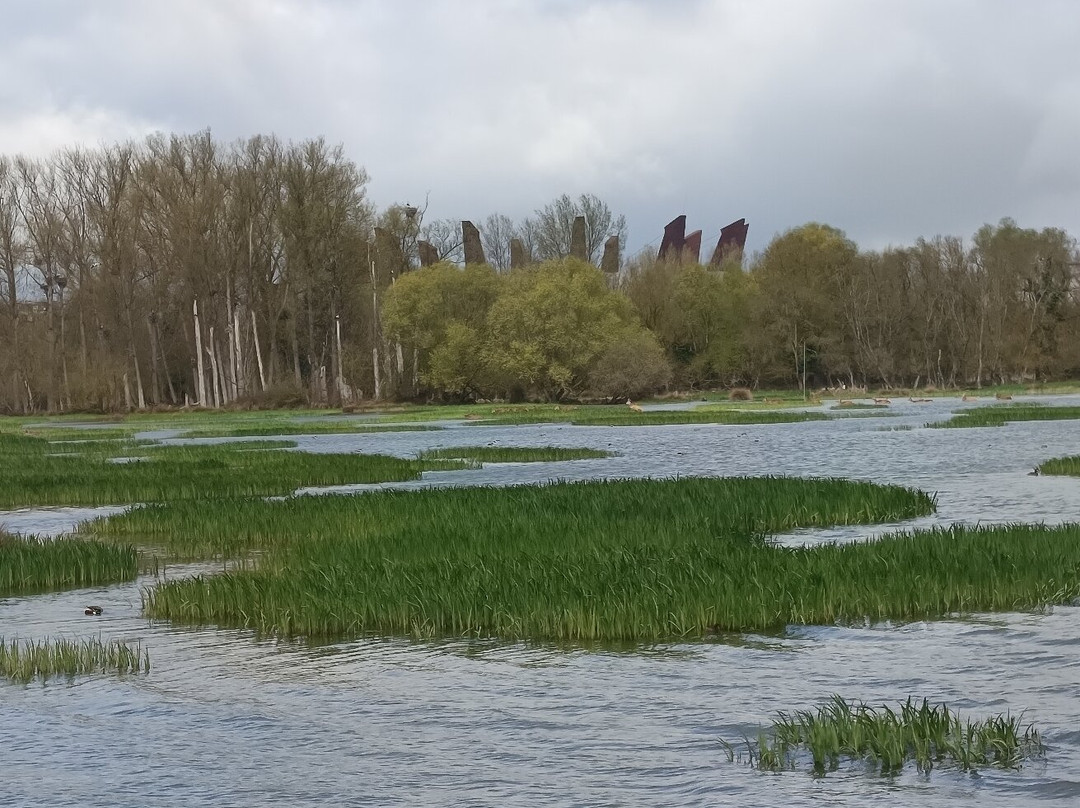 Parque Salburua-维多利亚必去景点