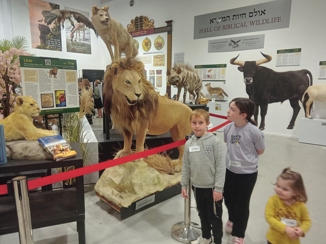The Biblical Museum of Natural History-Beit Shemesh必去景点