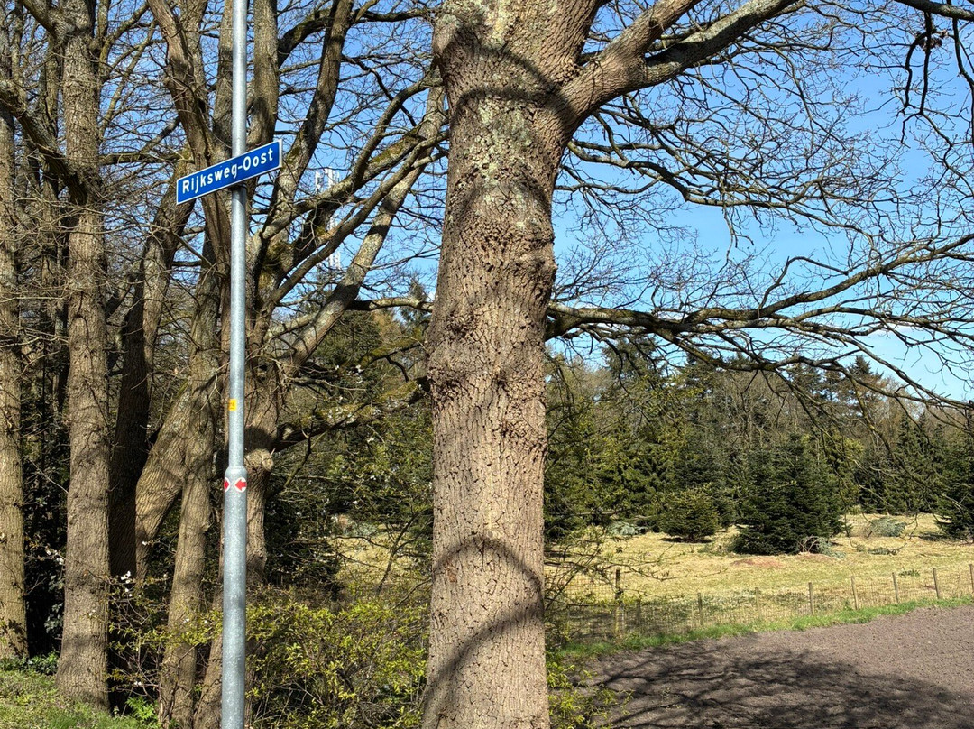 Geologisch Museum Hofland-Laren必去景点