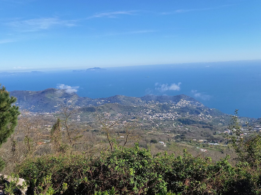 Tourist Info - Agenzia Campania Turismo Sede di Ischia-Ischia Porto必去景点