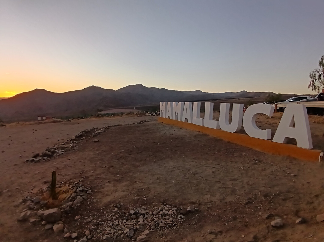 Mamalluca Observatory-Vicuna必去景点