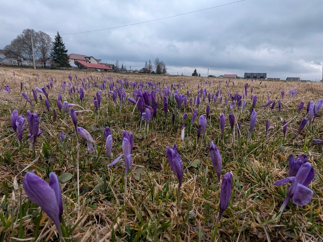 Via Transilvanica-Piatra Fantanele必去景点