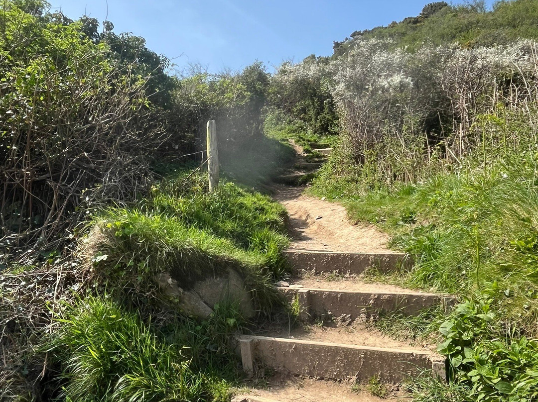 Looe to Polperro walk-卢城必去景点