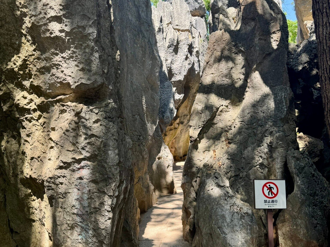 石林风景区-石林彝族自治县必去景点