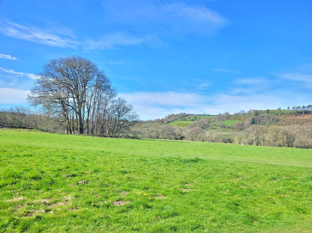 Llanerchaeron-Aberaeron必去景点
