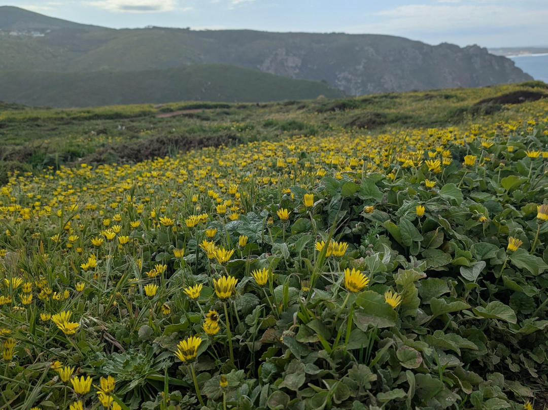 Lanetours-里斯本必去景点