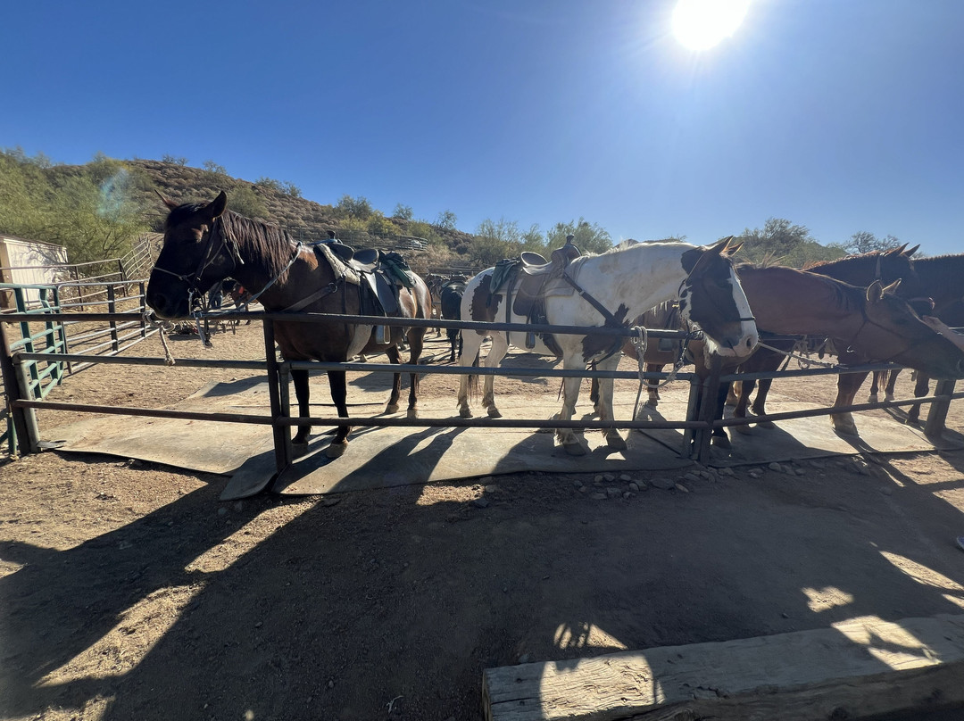Cave Creek Trail Rides-洞溪必去景点