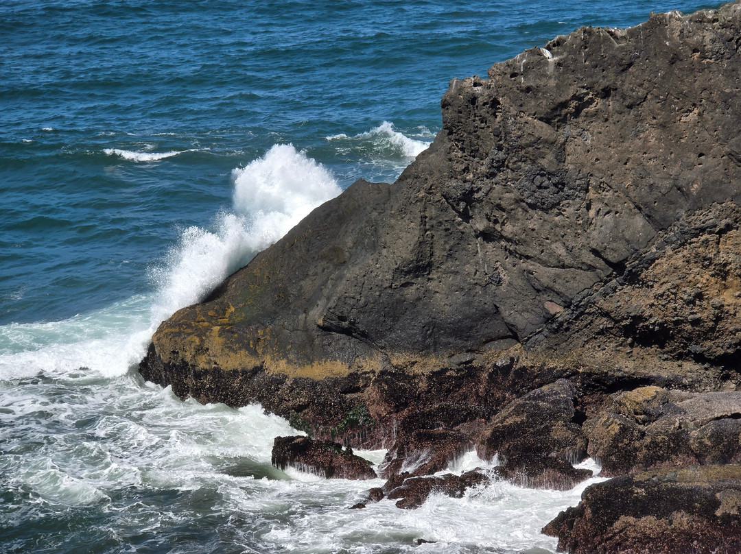 Yaquina Head Outstanding Natural Area-纽波特必去景点