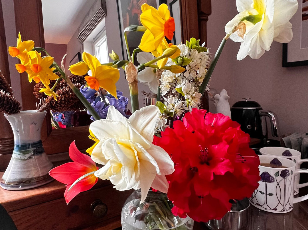 Clachan Garden B&B主图