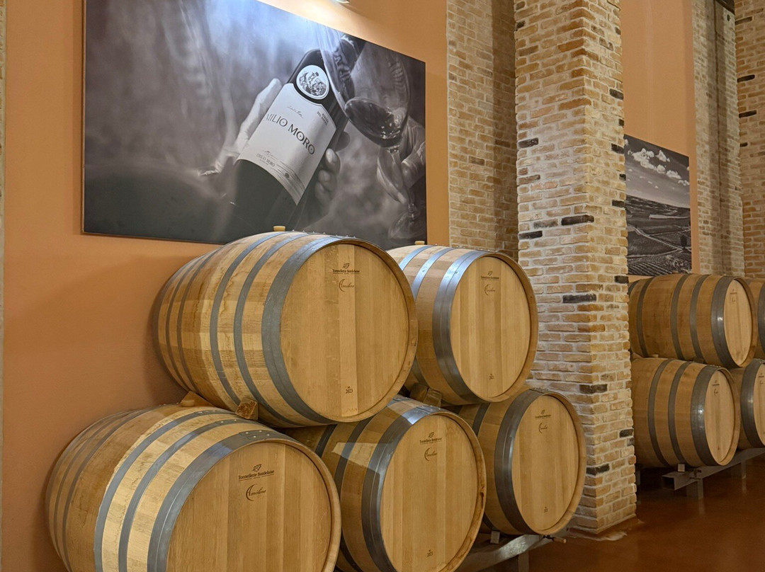 Emilio Moro Bodegas-Pesquera de Duero必去景点