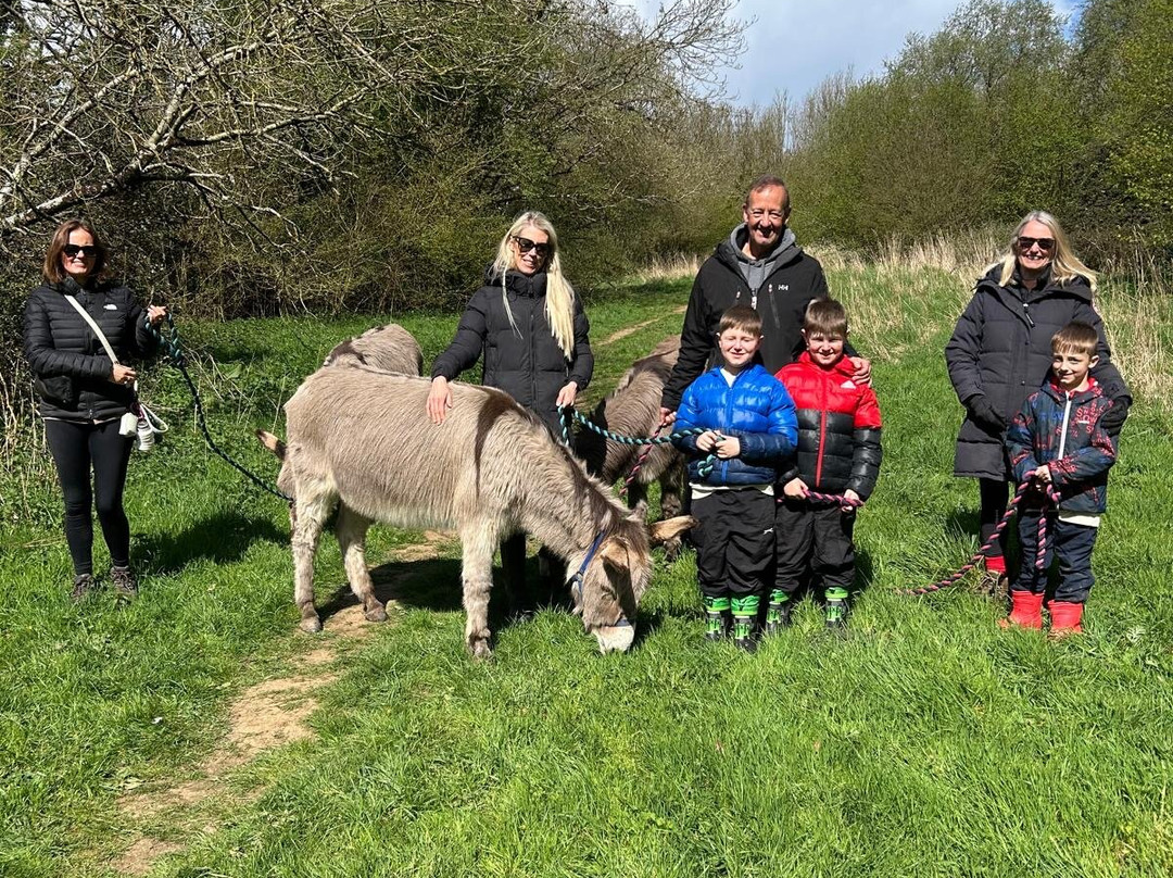 Donkey Walking Adventures-Beaminster必去景点