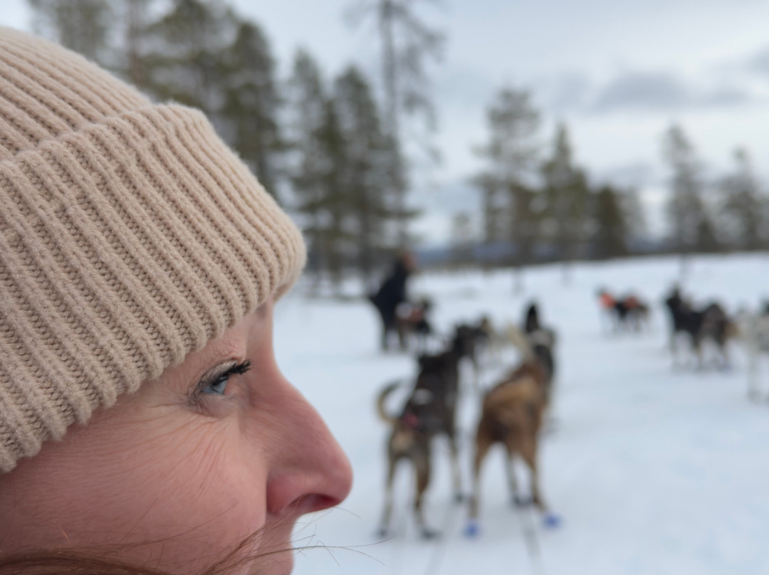 The Howling Dog Farm-Vemdalen必去景点