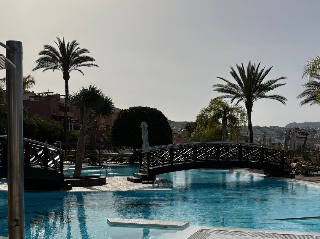 特内里费泰德公园美利亚酒店主图