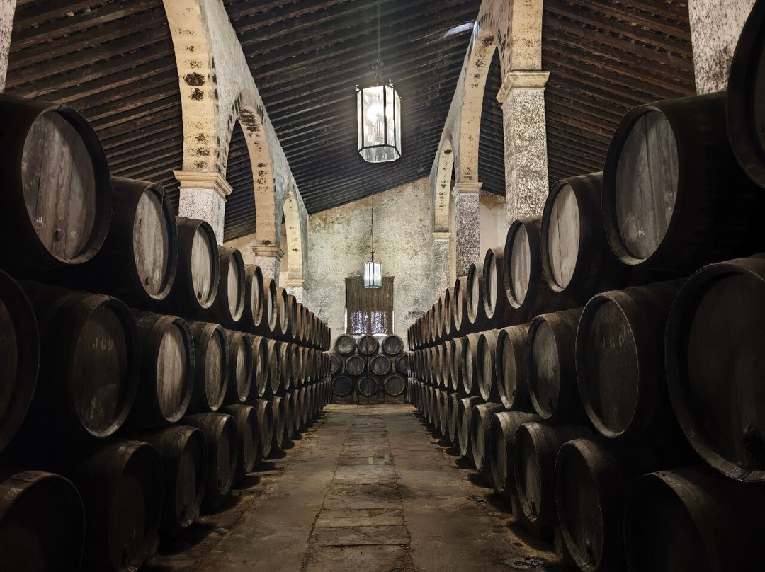 Bodegas Gutierrez Colosia-圣玛丽亚港必去景点