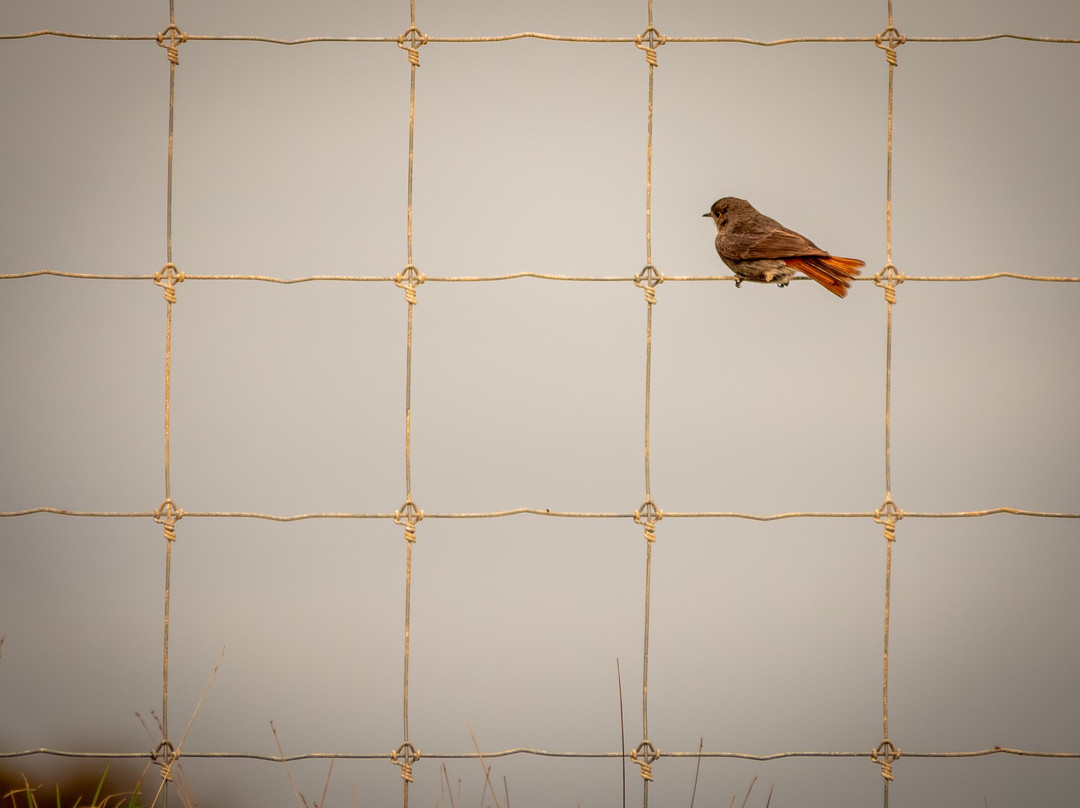 Portugal Nature Trails-辛特拉必去景点