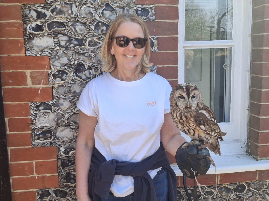 West Sussex Falconry-Compton必去景点