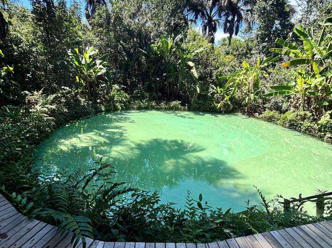 Diego Tour Jalapão-Ponte Alta do Tocantins必去景点