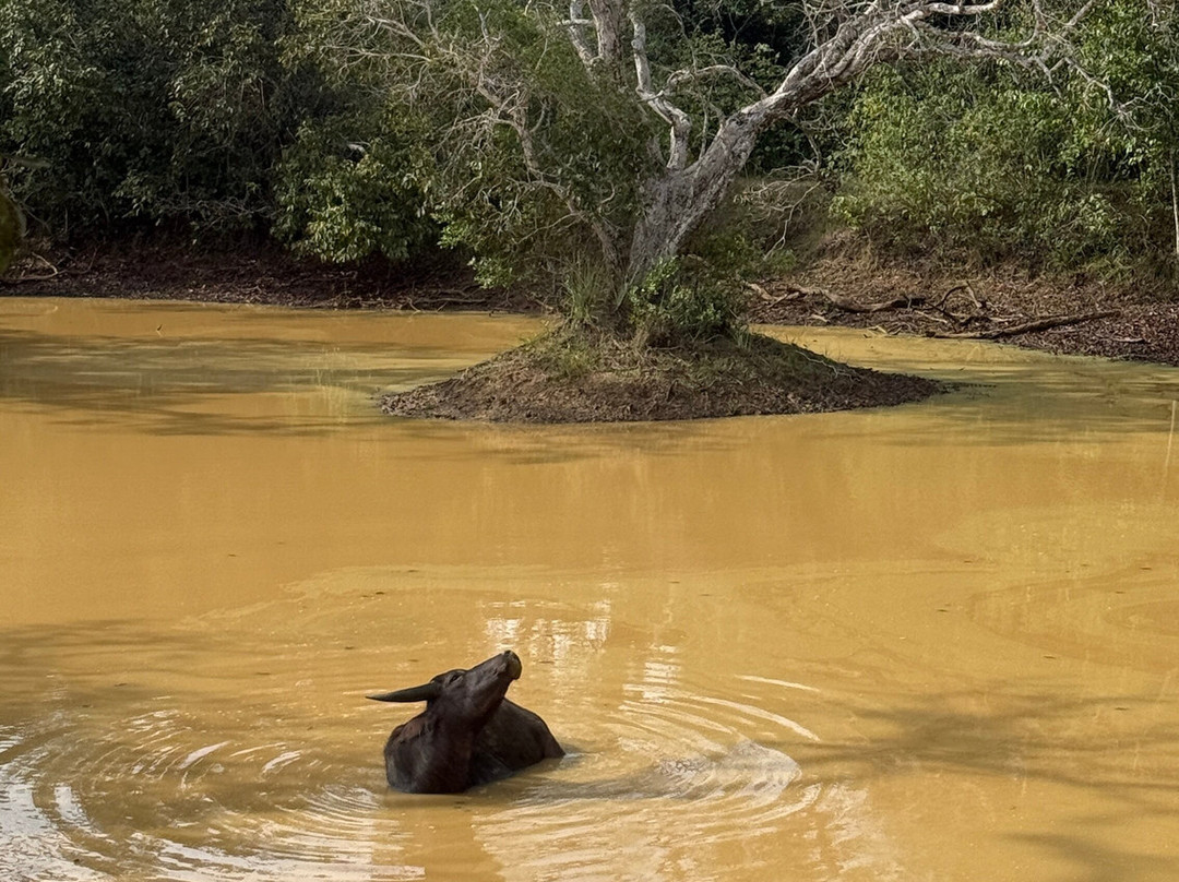 锡兰度假村主图