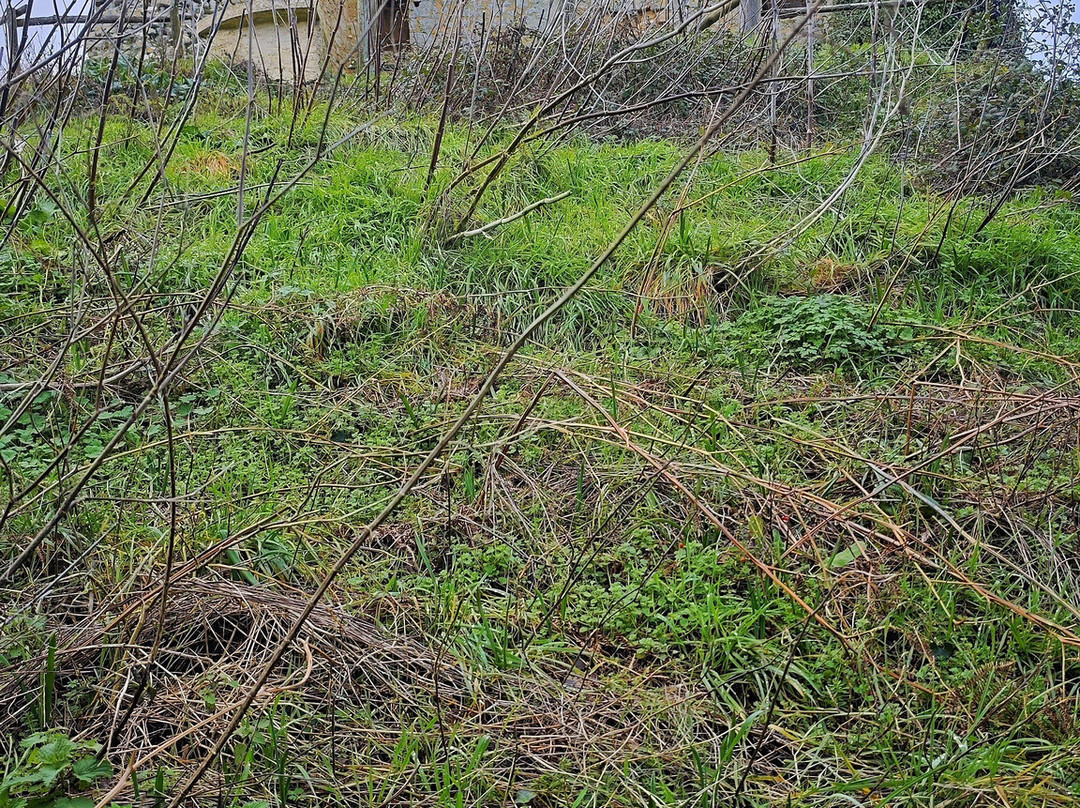 La Tour de Broue-Saint-Sornin必去景点