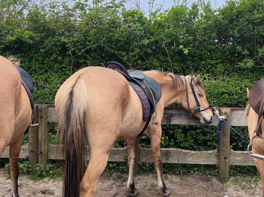 Espaces Equestres Henson-Saint-Quentin-en-Tourmont必去景点