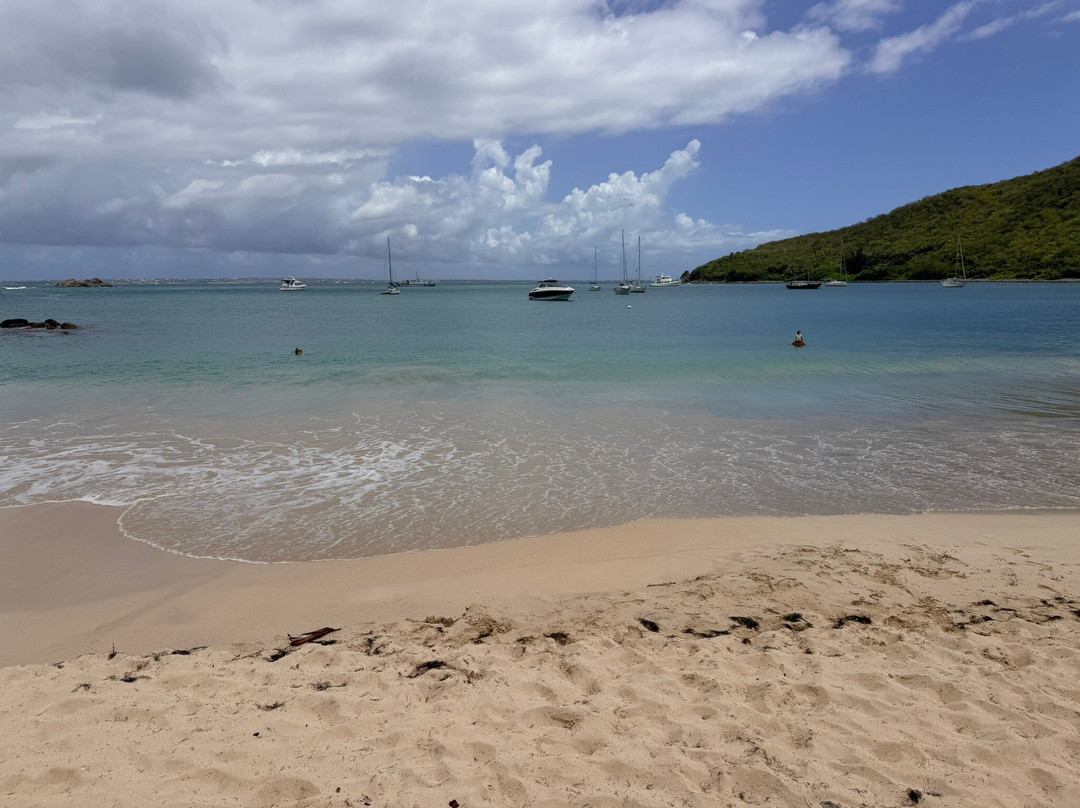 Plage Anse Marcel