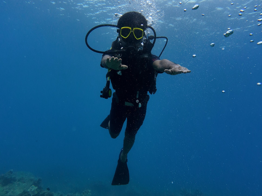 Turquoise Dream-Neil Island必去景点