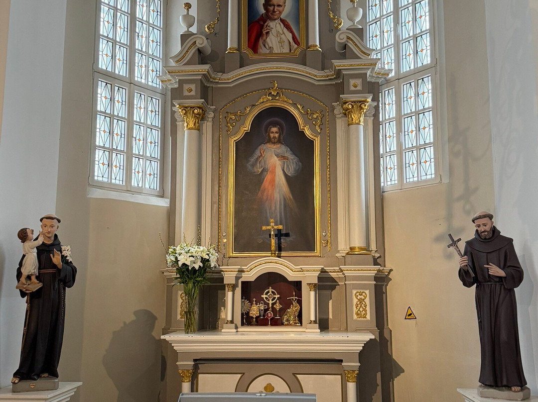 Siauliai Saint Disciple Peter and Paul Cathedral-希奥利艾必去景点